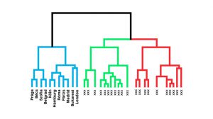 A dendogram fogalma, jellemzői